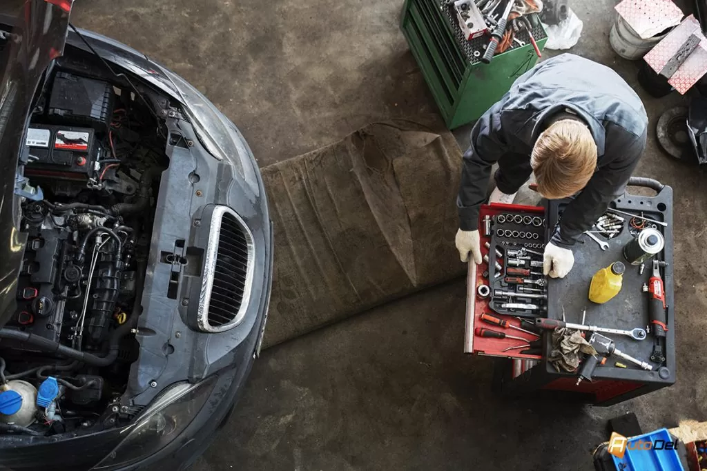 service-ului AutoDel